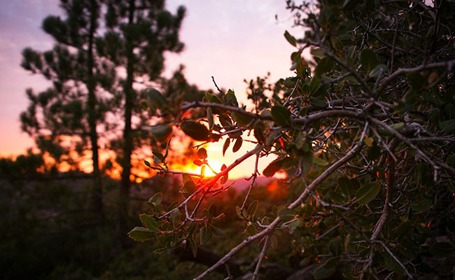 sunrise sunrise