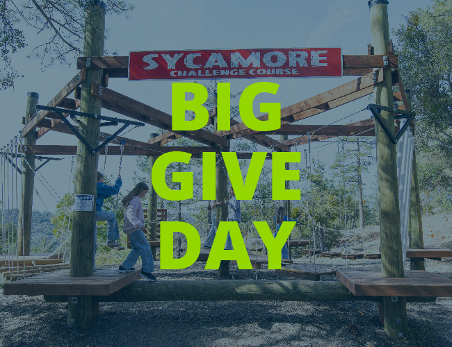 Big Give Day